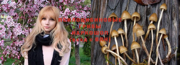 МДПВ Абинск