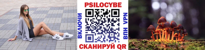 Псилоцибиновые грибы прущие грибы  Вичуга 